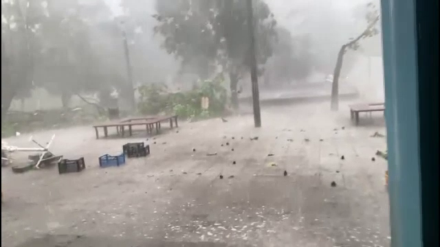 Furtuna a făcut pagube majore în Slobozia. Peste 50 de copaci au fost doborâți de vânt și mai multe străzi au fost inundate