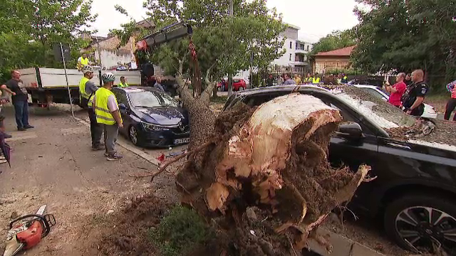 Cum a murit în casă femeia din Otopeni, în timpul furtunii puternice. Un acoperiș i-a căzut peste locuință