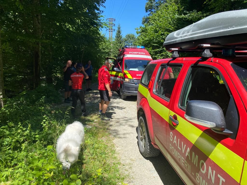 Un tânăr a fost atacat de câini, în Munţii Făgăraş. „A fost muşcat foarte grav. Din păcate, căţelul lui a fost omorât”