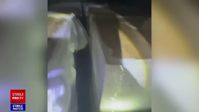 Captură de aproape șase milioane de lei. Ce au descoperit polițiștii de frontieră din Giurgiu într-un camion