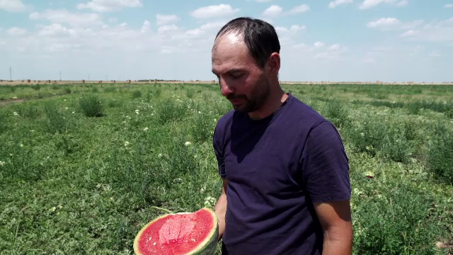 Soiuri exotice de pepeni prind rădăcini în România. Ce fructe au ajuns pe rafturile supermarketurilor