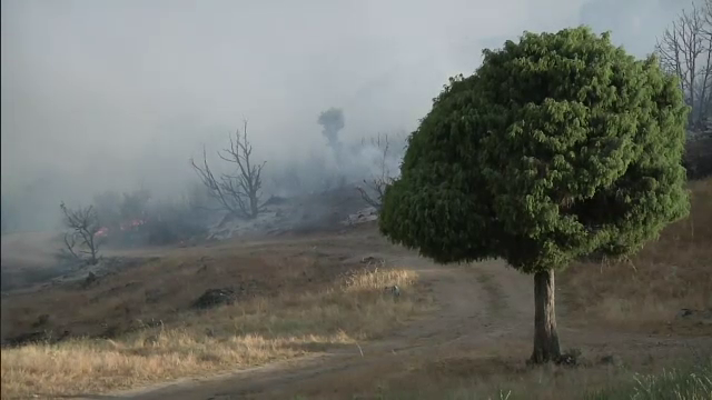 Caniculă în Europa. Temperaturi de peste 48°C în sudul Italiei și Cod roșu de incendii în Grecia