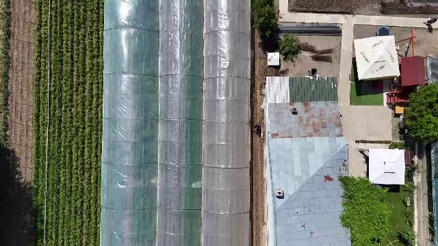 Cum ar putea fermierii să îmbunătățească distribuția legumelor românești. „Nu poți să te duci de negustori”