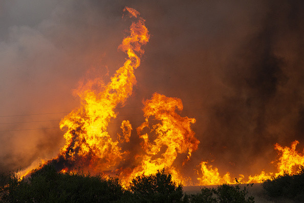 Incendiile de vegetație fac prăpăd în Bulgaria din cauza caniculei. „Ți se lipesc pantofii de asfalt. E incredibil de cald”