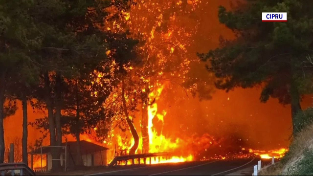 Incendii devastatoare în sud-estul Europei. Oameni au murit arși în mașini