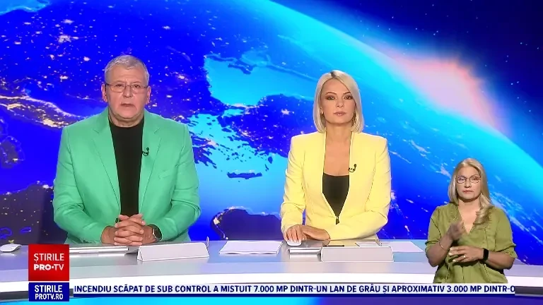 100 de oi au murit la o stână din Brașov, după ce au fost atacate de lupi. Doi ciobani cer despăgubiri