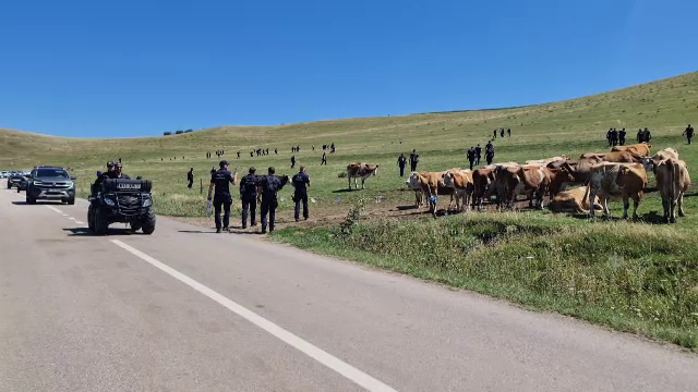 Operațiune uriașă pentru prinderea lui Emil Gânj. „Dacă e criminal din ăla, știe ce să facă”