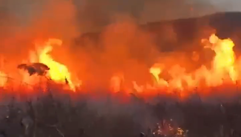 Canicula extremă favorizează incendiile din România. Pompierii intervin la sol și din aer pentru stingerea flăcărilor