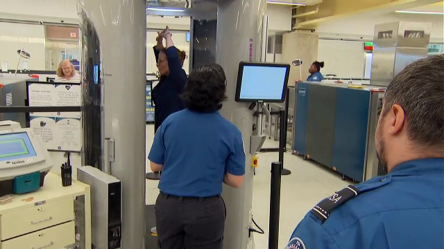 „Soluția” găsită de o turistă pentru a lua cu ea două țestoase în avion. Cum au prins-o polițiștii