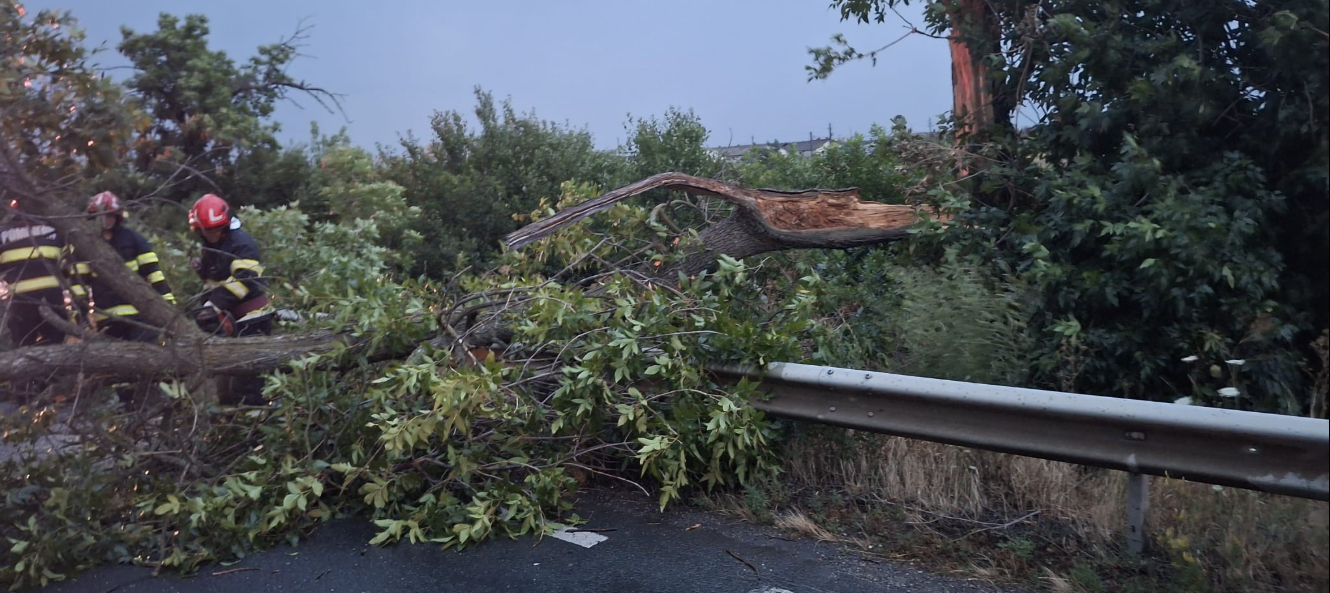 Peste 2.200 de bihoreni nu au curent electric după furtună. 15 echipe acționează pentru remedierea defecțiunilor