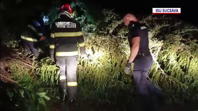 Furtuni violente după caniculă. Un bărbat a murit la un maraton din Suceava după ce a fost lovit de un copac