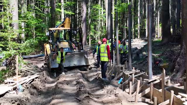 Lucrări lente la rezervația de urși din apropierea Brașovului: „Destul de greu, zonă de pădure, ploaie”