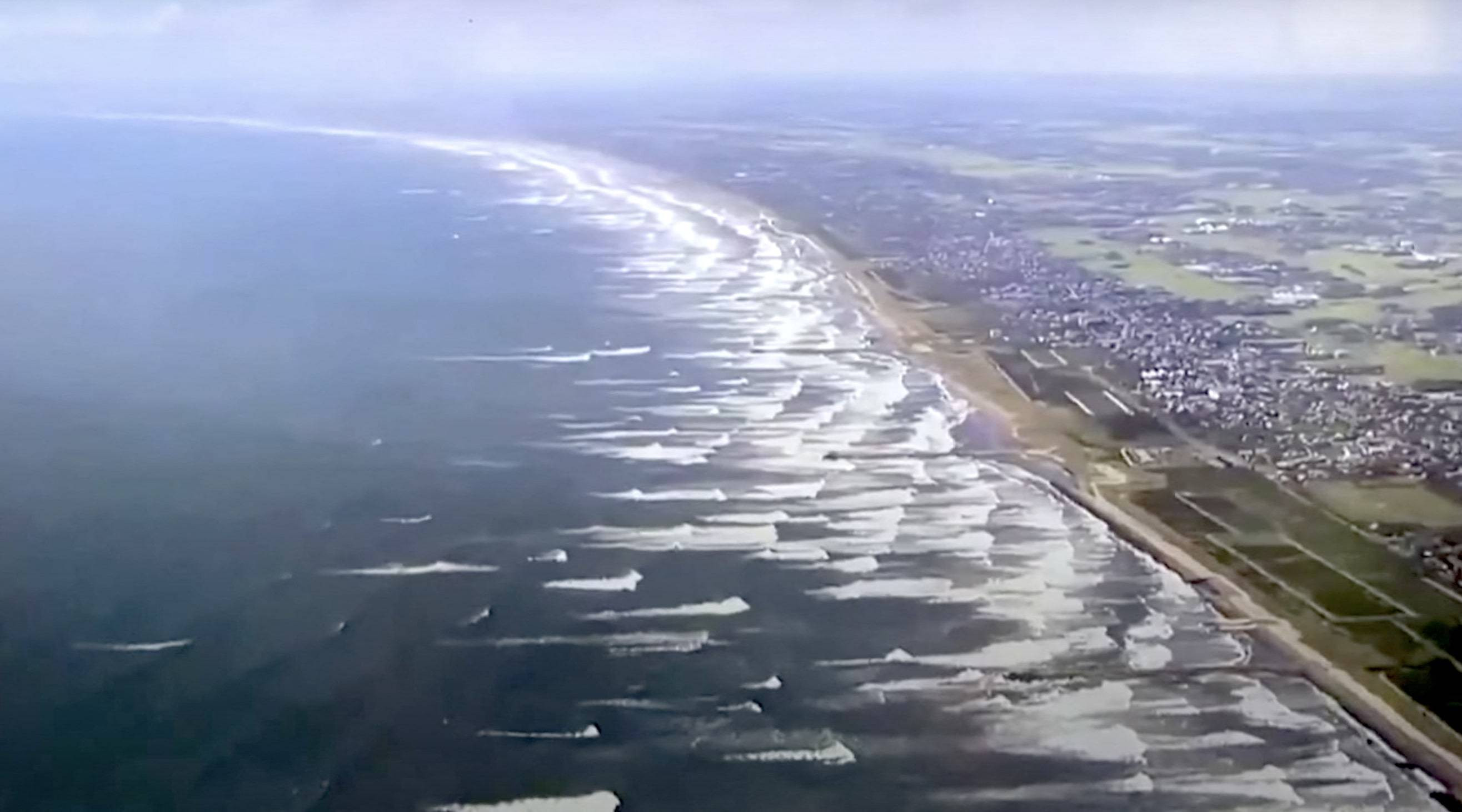 Balene uriașe, eșuate pe țărmul japonez, în urma cutremurului de 8,8 din peninsula Kamceatka. FOTO
