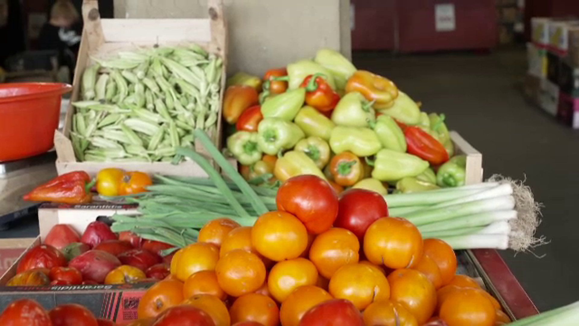 Operațiunea „fugiți de TVA-ul mărit” e în toi. Unde se îmbulzesc românii chibzuiți și cei cu venituri mai modeste