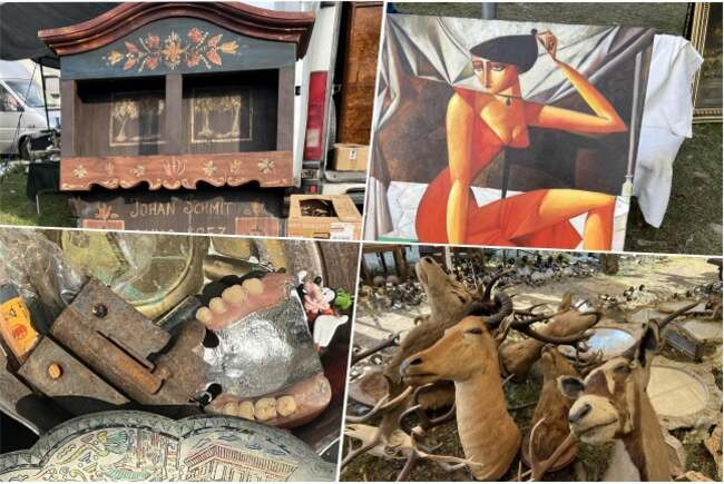 De la proteze dentare la comori vintage: obiectele scoase la vânzare la târgul din Timișoara