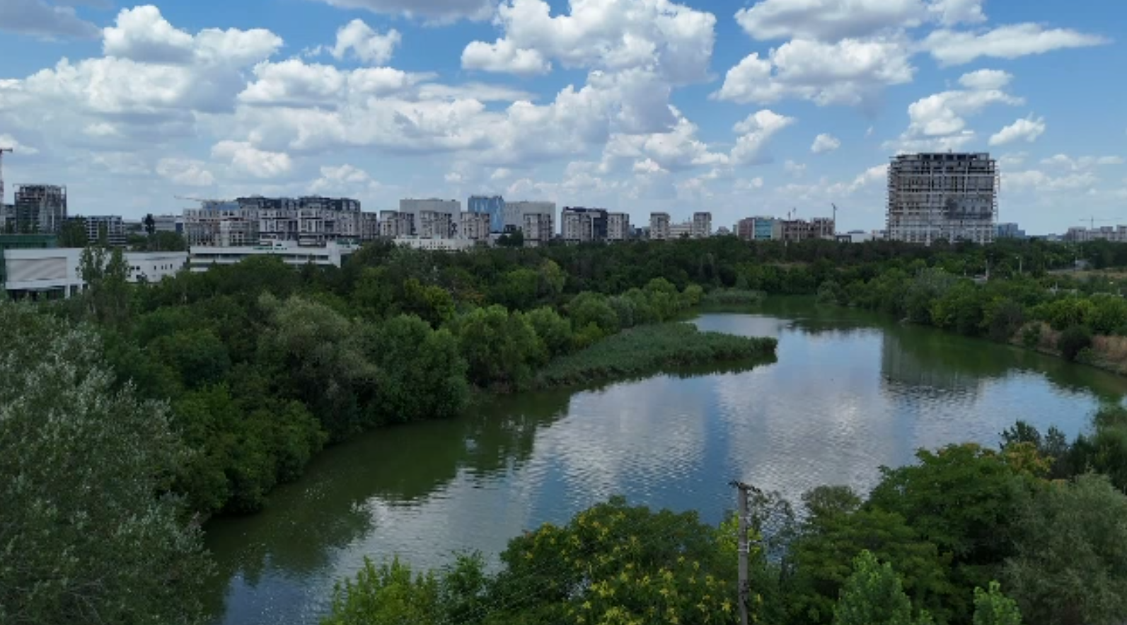 Bucureștiul câștigă un colț de natură: Pajiștea Petricani, salvată de la betonare și trecută în rândul zonelor protejate