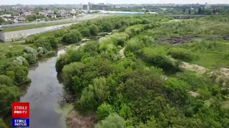 Proiect de lege pentru protecția animalelor. Ținerea câinilor în lanț este interzisă în România. Amenzi de până la 5.000 lei