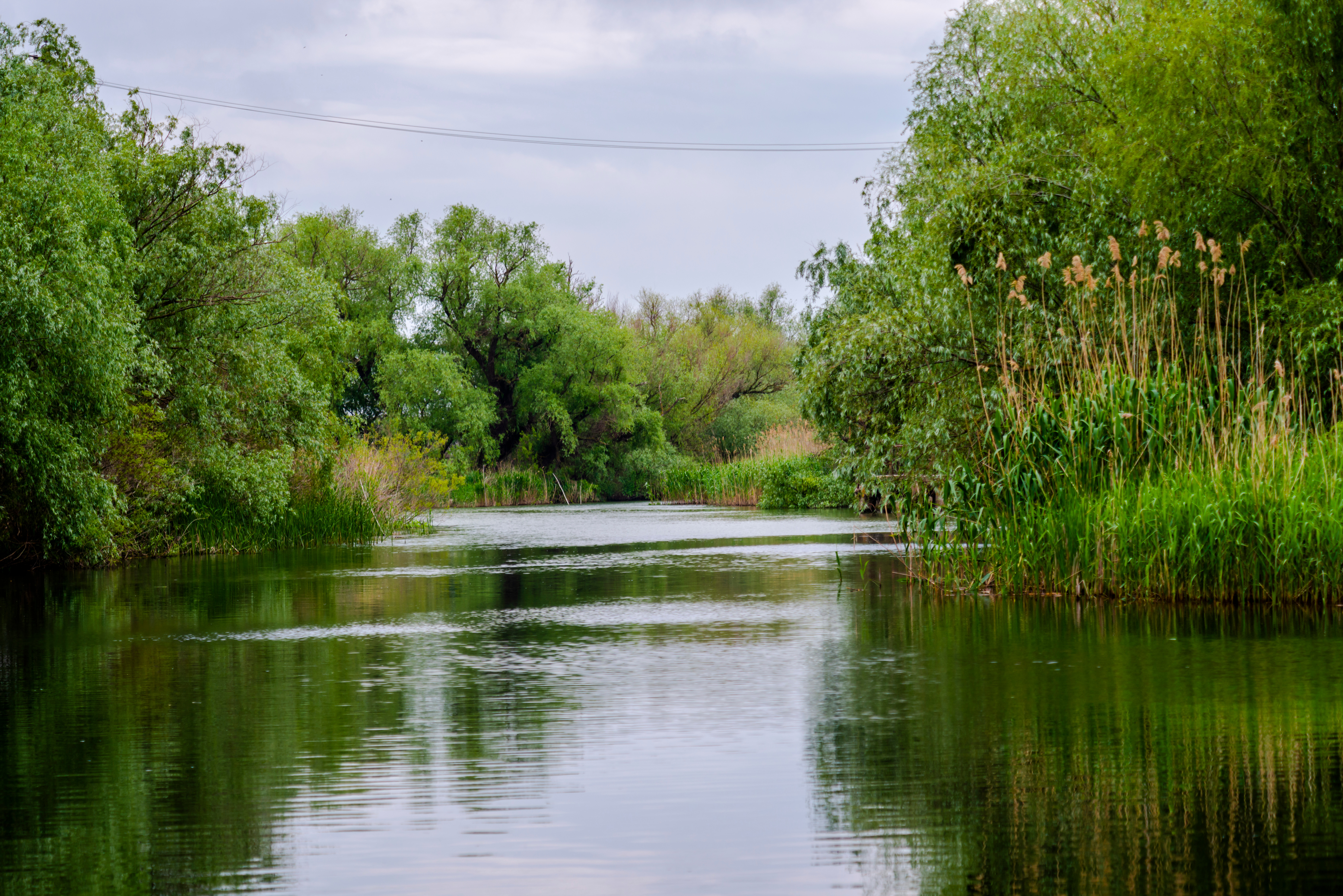 Sulina, perla Deltei Dunării. Ce poți face în orașul cu cel mai spectaculos apus din România