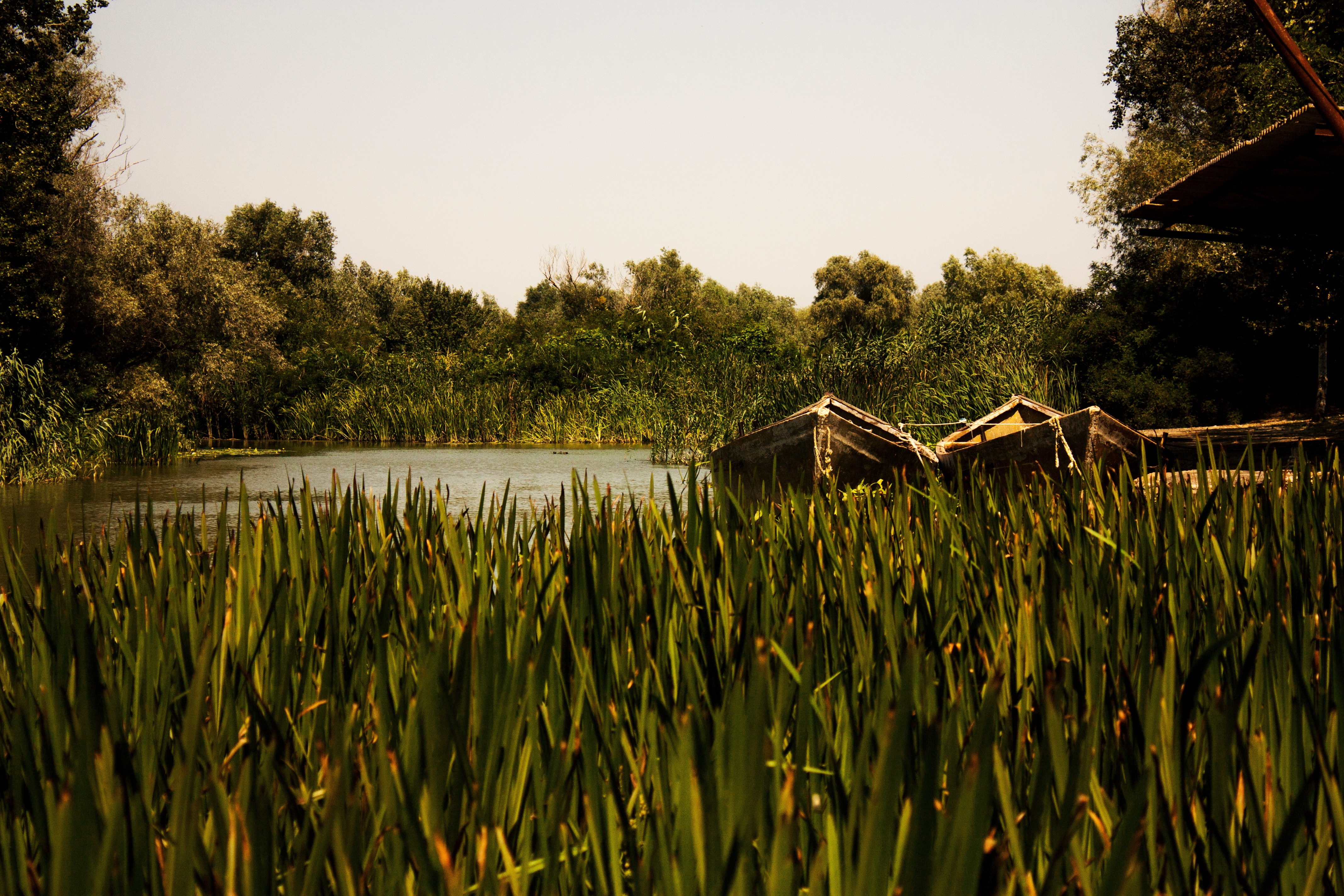 sf&acirc;ntu gheorghe - delta dunării - plaja