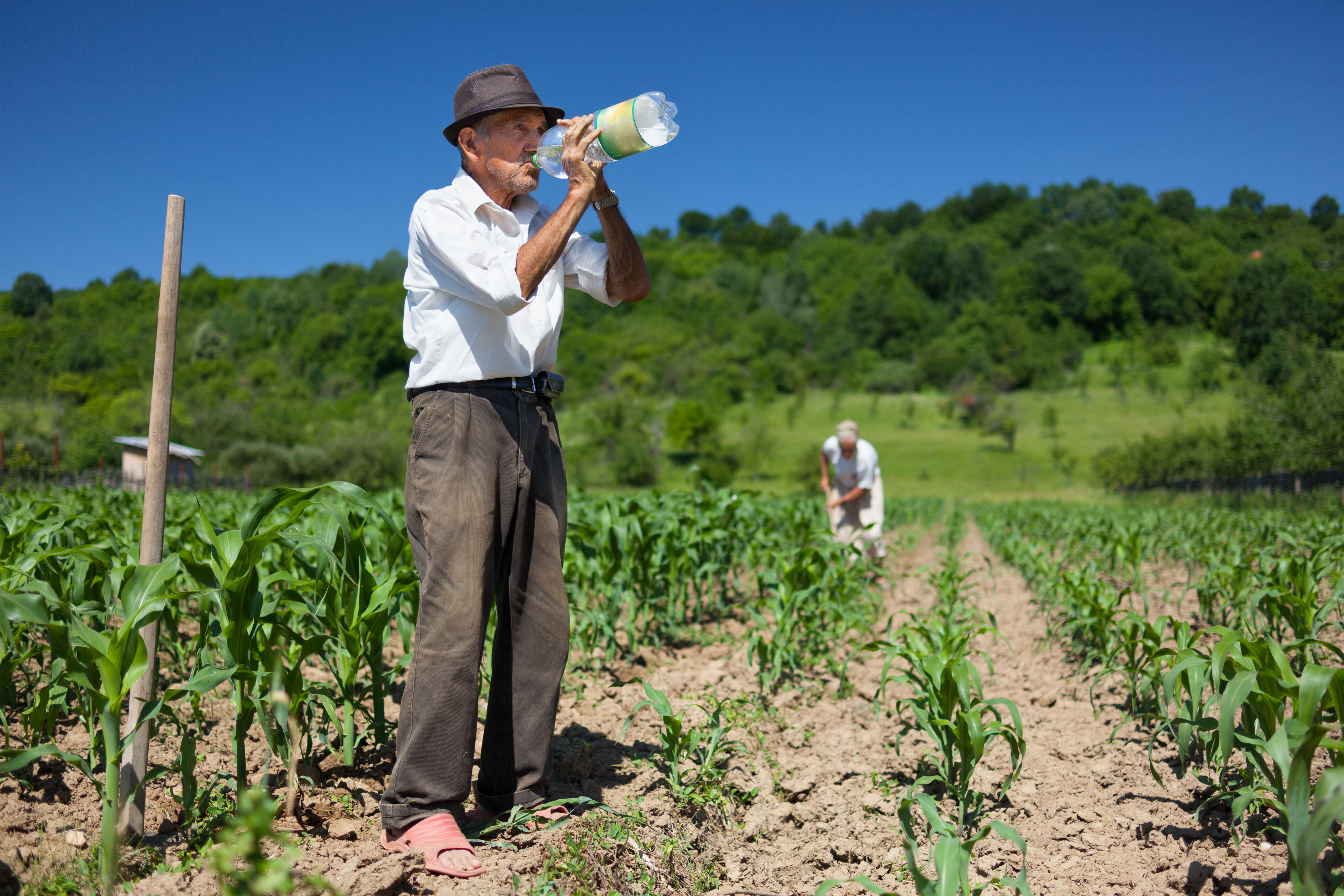 Un fermier din Tulcea susține că a fost amendat de ANAF pentru că ar fi cumpărat apă muncitorilor de pe câmp