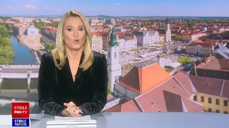 Oradea vrea să devină primul oraș „prietenos cu animalele”. Locurile publice vor permite accesul câinilor, dacă au atestat