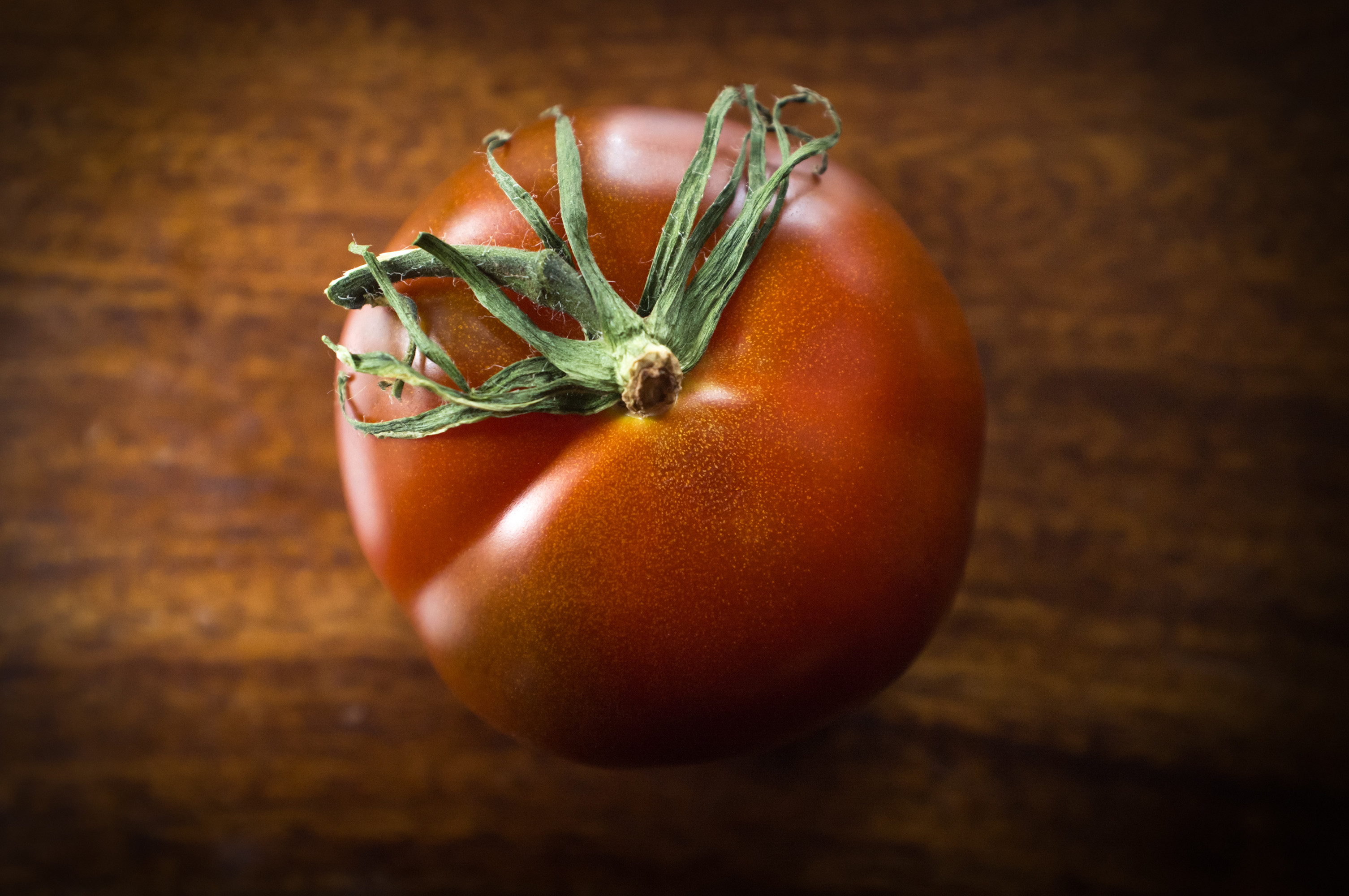 rosii Eva Purple Ball