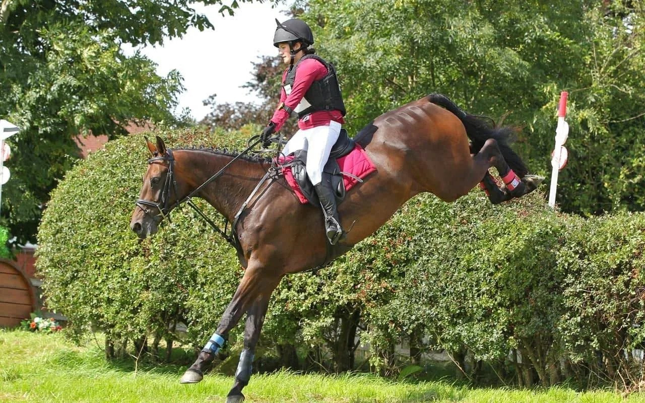 O călăreață din Marea Britanie a murit în timpul unui concurs. Greșeala care a costat-o viața