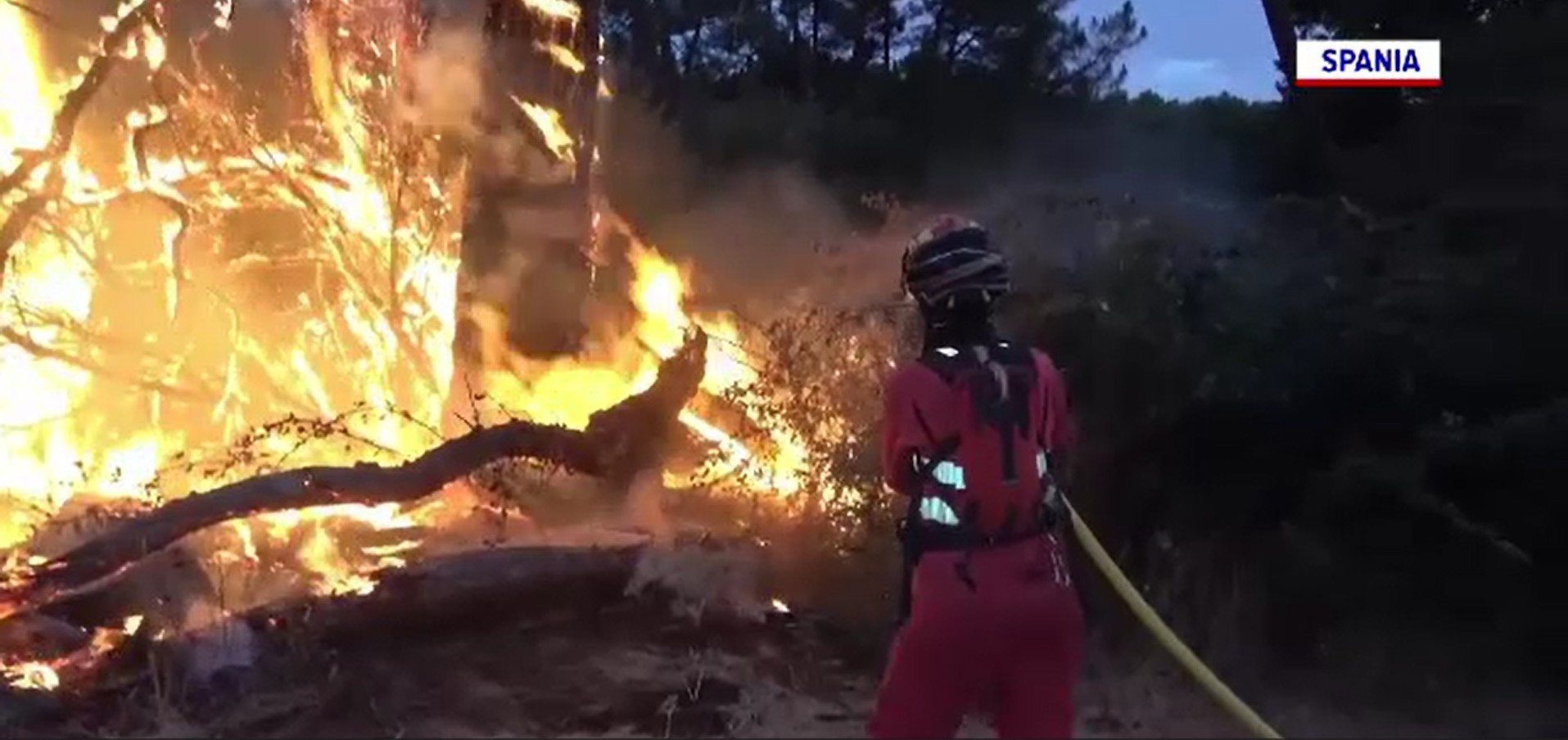 Incendiile de vegetație fac ravagii în sudul Europei. Grecia, Italia și Spania, sub asediul flăcărilor