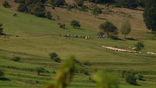 O familie a ajuns la spital după ce a consumat pe munte mâncarea adusă de acasă. Alimentele s-au alterat în bagaj