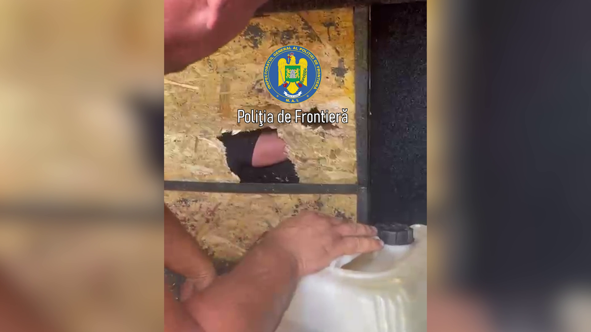 Doi bărbați, arestați după ce au încercat să introducă ilegal în România cinci migranți ascunși într-un microbuz. VIDEO