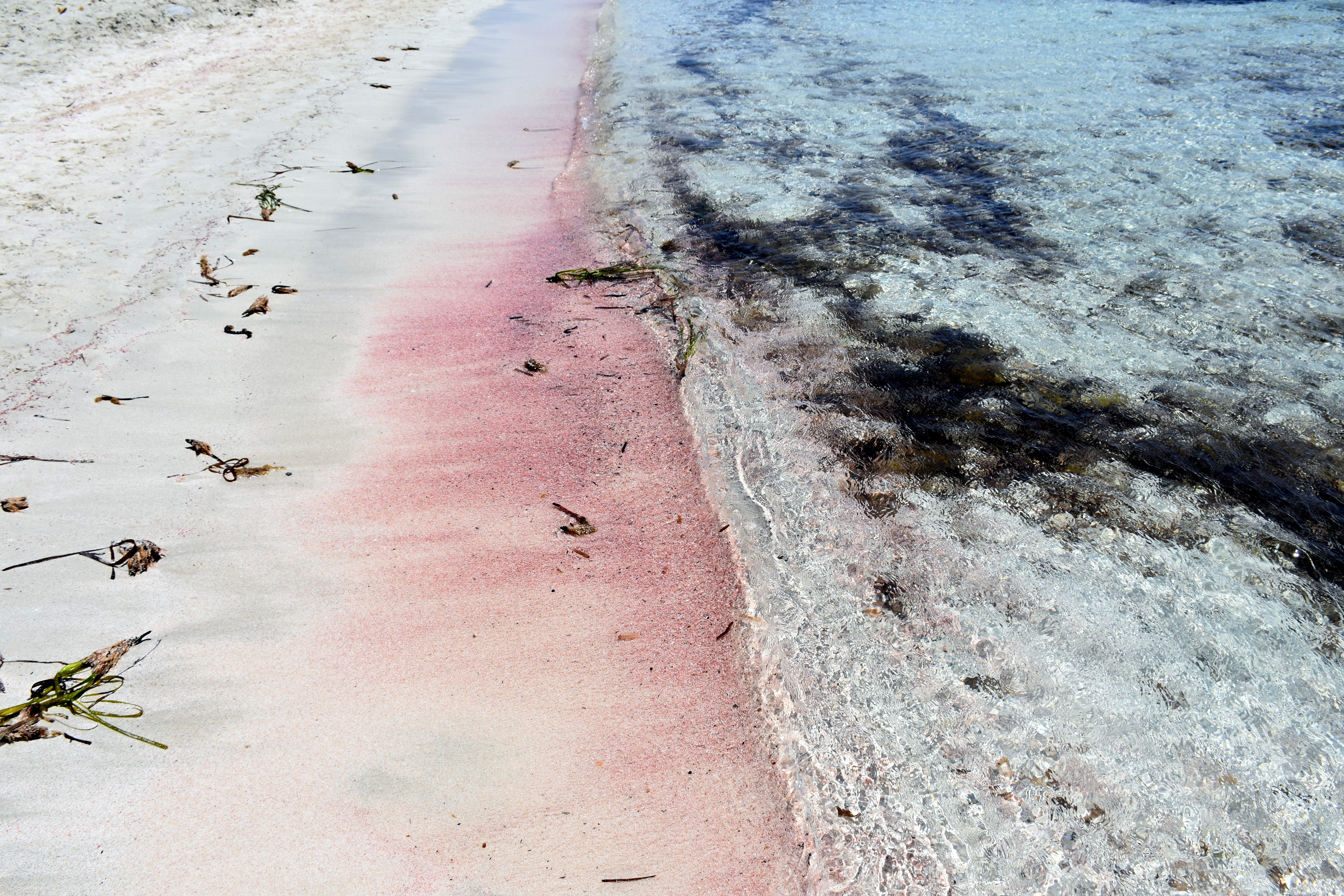 Ses Illetes - Formentera - Insulele Baleare - Spania