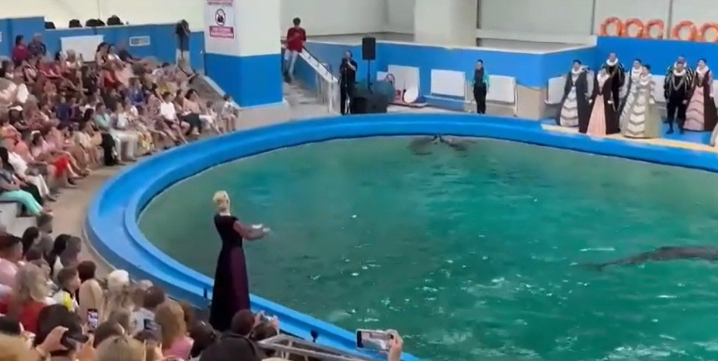 Reprezentație de excepție la Delfinariul din Constanța, alături de Corul Madrigal. Spectatorii, impresionați