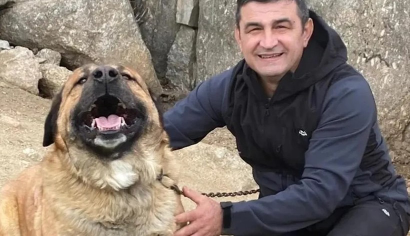 Mircea a murit în timp ce încerca să salveze caii unui prieten din încendiul din Spania. Familia strânge bani de repatriere