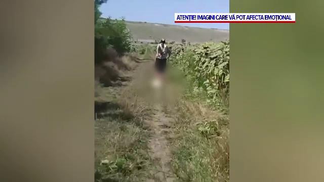 Dosar penal pentru o bătrână din Botoșani care și-a chinuit câinele. Poliția s-a autosesizat după ce un vecin a filmat-o