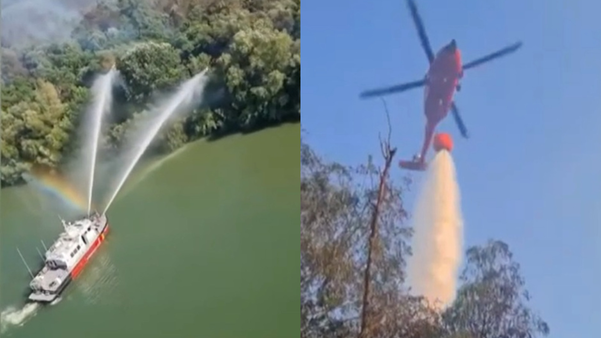 Incendiu de vegetație greu de controlat, în Delta Dunării. Pompierii se luptă deja de zece zile cu focul