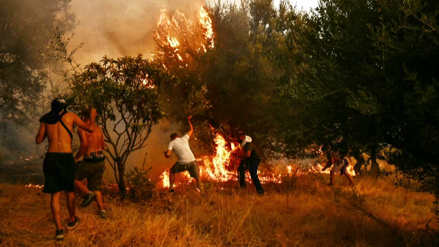 Valul de caniculă înmulțește incendiile de vegetație din Europa. Pompierii fac eforturi surpaomenești ca să stingă flăcările