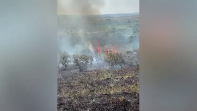 Incendiu de vegetație în Bihor. 22 de hectare și 500 de pomi fructiferi au fost mistuite de flăcări