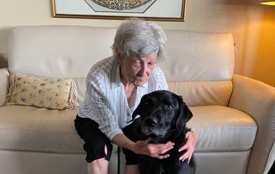 O femeie care a fost oarbă timp de 10 ani poate vedea din nou după ce medicii i-au implantat un dinte în ochi, în SUA