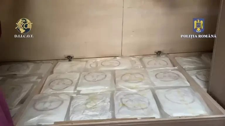 Captură de cocaină de 3,5 milioane de euro în Sibiu. Drogurile au fost găsite în autorulota unor sârbi. VIDEO