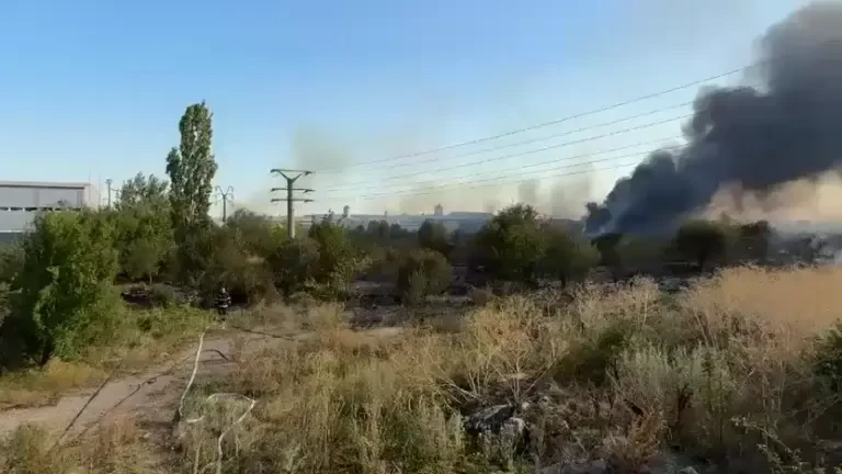 Incendiu de vegetaţie uriaș în localitatea Clinceni, Ilfov. Există pericolul extinderii la case, a fost emis RO-Alert. VIDEO