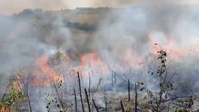Incendii puternice au cuprins 9 cimitire din Dolj, de Sfânta Maria. 500 de hectare au ars și zeci de cruci au fost distruse