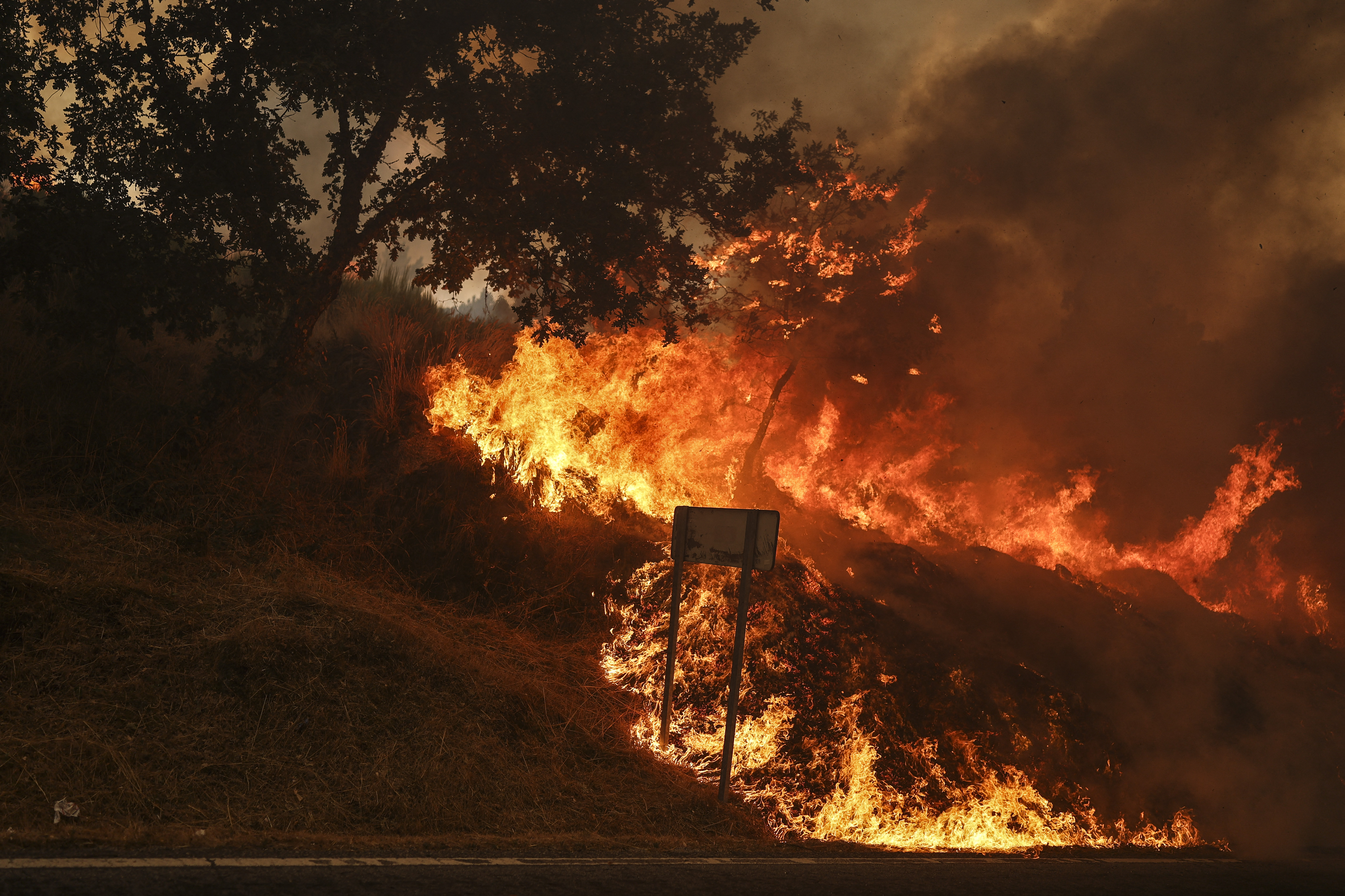 Portugalia cere ajutor Europei pentru incendiile devastatoare. 3.500 de pompieri luptă cu 10 focare majore