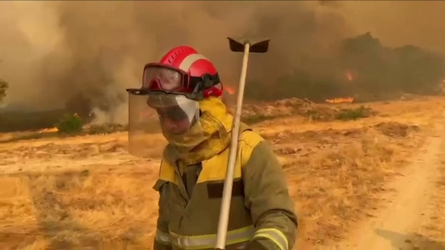 Spania și Portugalia luptă cu incendii uriașe. Zeci de mii de hectare au fost mistuite, iar victimele se înmulțesc