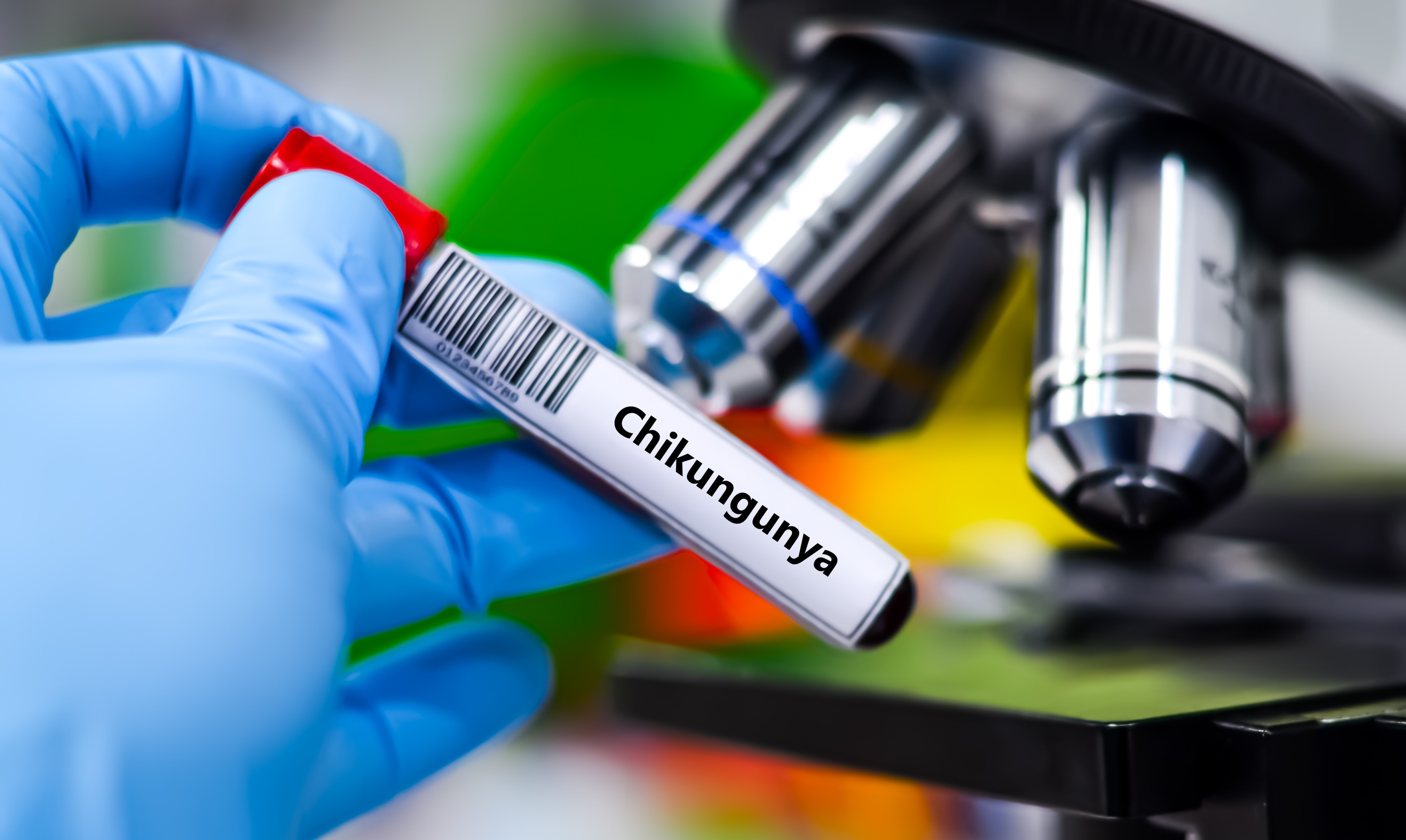 Cum se traduce ”chikungunya”, virusul care reaprinde teama unei pandemii. Se referă la un simptom înfiorător al victimelor