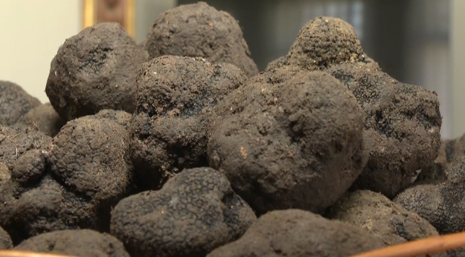 Trufele românești, tot mai căutate: un kilogram ajunge la peste 4.000 de euro la export