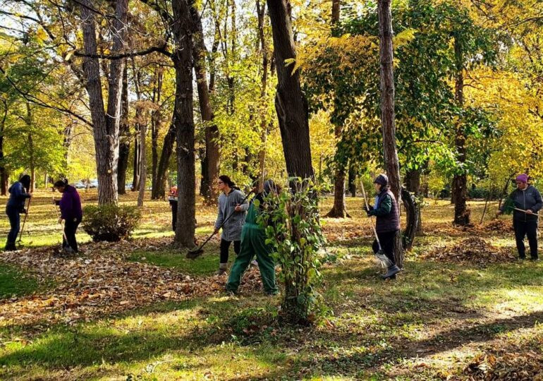 Parcurile "de lux" ale Bucureștiului. Cum a ajuns întreținerea lor să coste de trei ori mai mult, în doar doi ani
