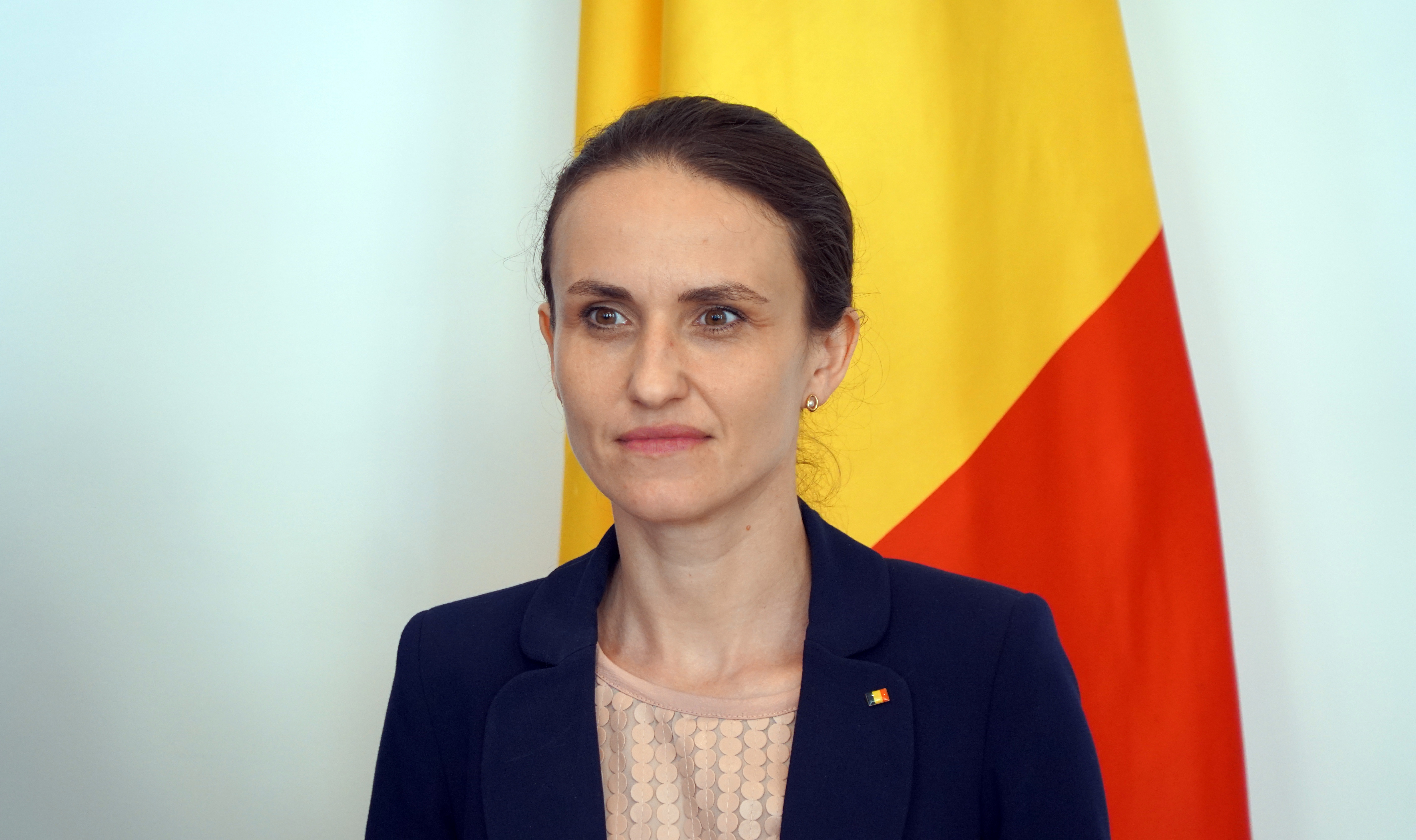 Oana Ţoiu: România trebuie să intre în programul de Visa Waiver. Suntem într-un loc mult mai bun ca acum câteva luni
