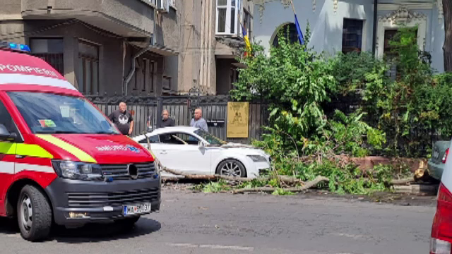 Două femei au ajuns de urgență la spital după ce le-a căzut o creangă în cap, în Sectorul 2