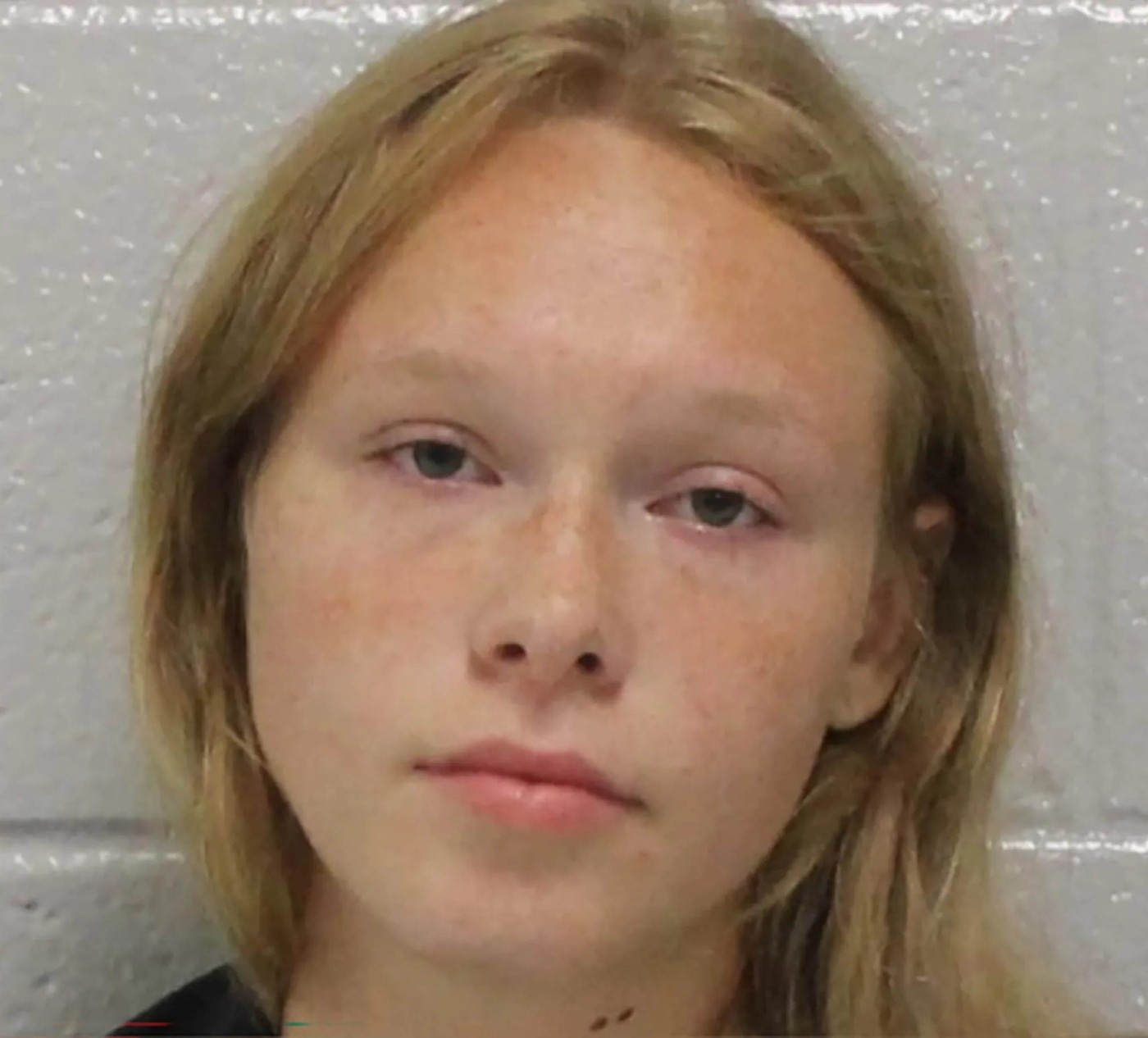 O fată de 17 ani care și-a ucis părinții a mers zâmbitoare în instanță. Sora ei a cerut să fie ținută în arest în continuare