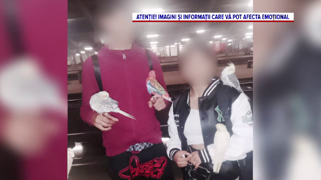 Moartea șocantă a celor doi tineri loviți de un camion pe autostrada București-Pitești ascunde o dramă teribilă